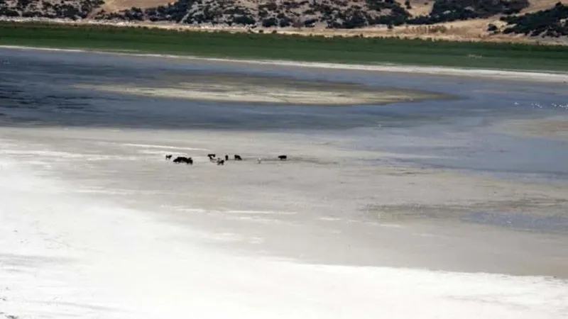 Isparta Eğirdir gölü doğanın insafına kaldı