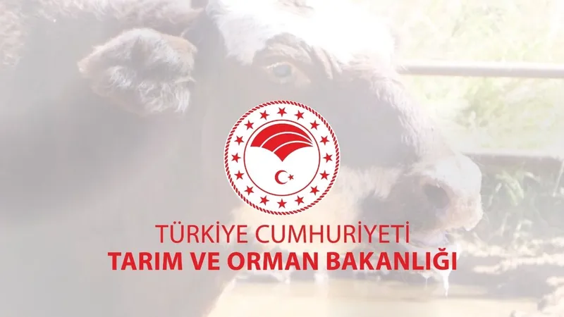 Tarım ve Orman Bakanlığı, şap hastalığının kontrol altına aldığını açıkladı