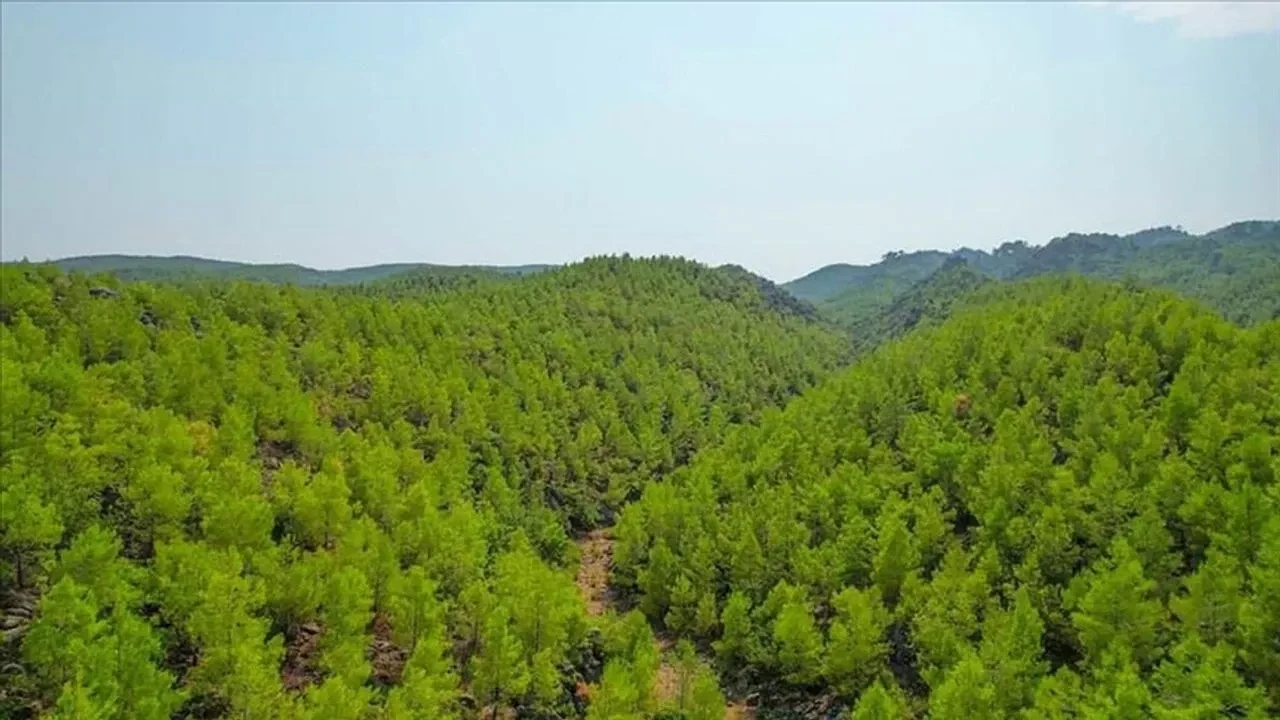 Muğla