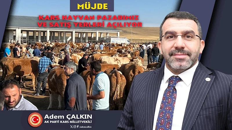 Milletvekili Çalkın