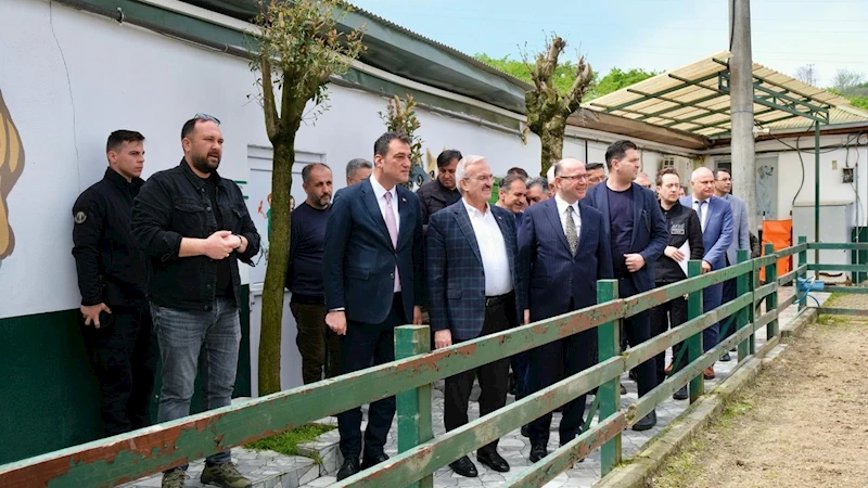 Giresun Belediyesi Hayvan Barınağına Tam Not