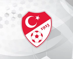 Profesyonel Liglerde Takım Sayıları Azalıyor