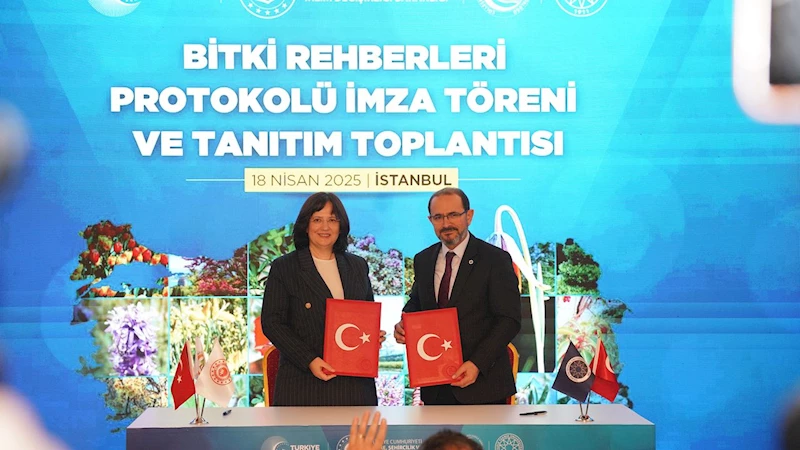 81 ilde kent peyzajında kullanılabilecek bitki rehberi hazırlanıyor