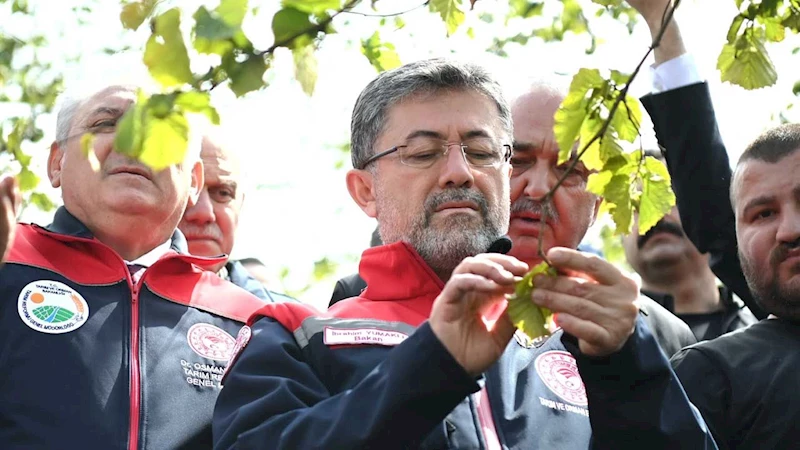 Tarım Bakanı Yumaklı: Zirai don sebebiyle stratejik ürünlerde sıkıntı yok