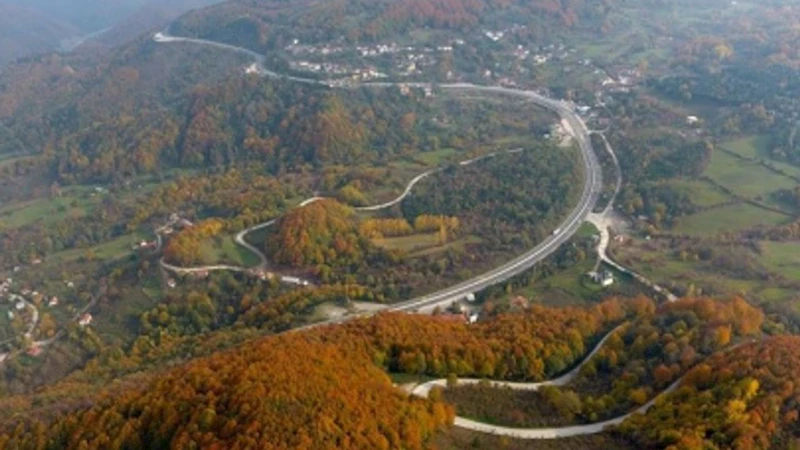 Bolu’daki yangın alanları 5 milyon 350 bin fidanla yeniden yeşillendirilecek