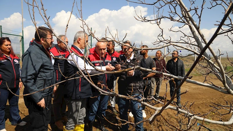 Kırıkkale’de don zararı sahada incelendi