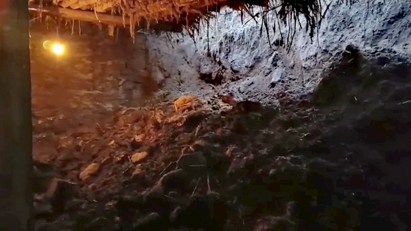 Doğubayazıt’ta ahır çöktü!