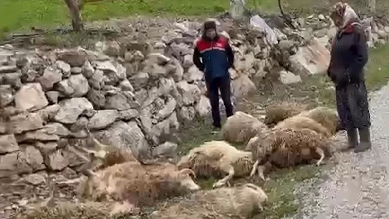 Denizli