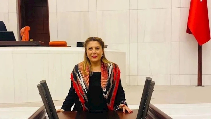 Elvan Işık Gezmiş, Giresun