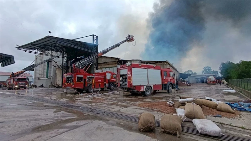 Son dakika... Sakarya’da fındık fabrikasında yangın
