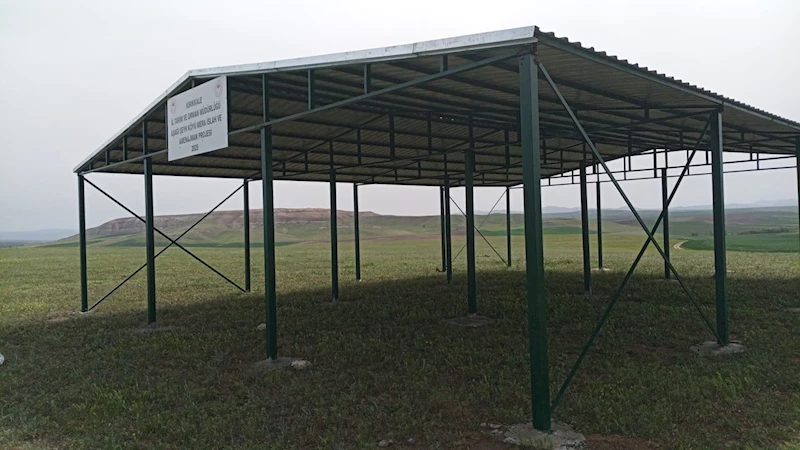 Kırıkkale meralarında gölgelik kurulumu devam ediyor