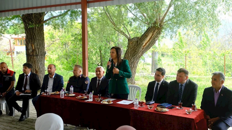 Vali Bilgihan
