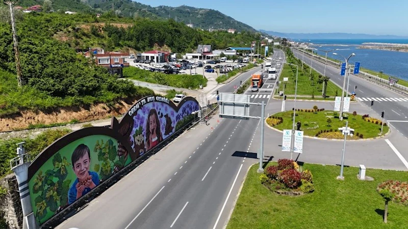 Ordu’nun renkleri duvarlara yansıyor