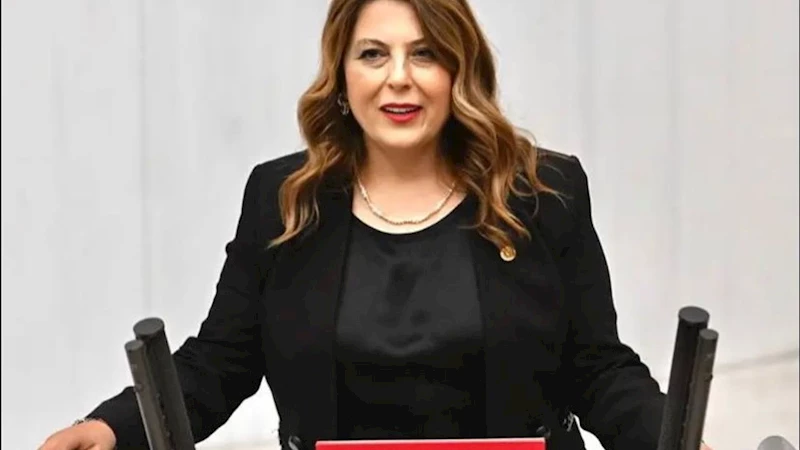 Elvan Işık Gezmiş: Vahşi madencilik köylerimizi etkiliyor