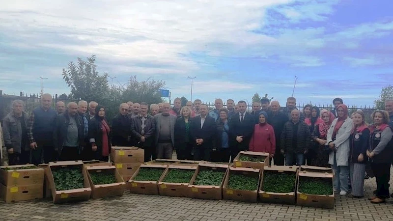 Trabzon