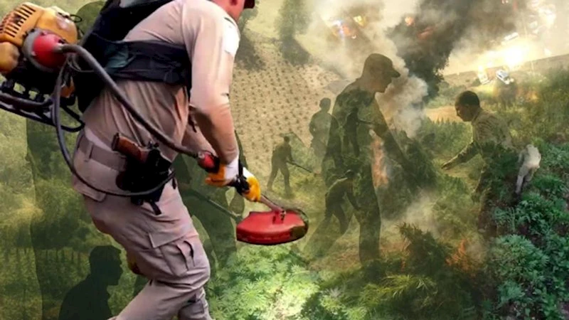 Diyarbakır’da operasyon: 70 ton toz esrara eşdeğer kenevir ele geçirildi