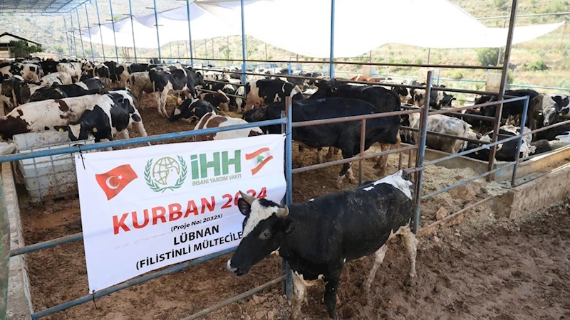 İHH Kurban Bayramı’nda 60 ülkeye ulaşmayı hedefliyor