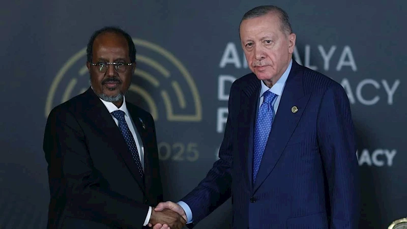 Cumhurbaşkanı Erdoğan Somali lideri Mahmud ile görüştü