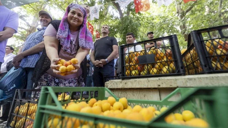 Kayısı Festivali