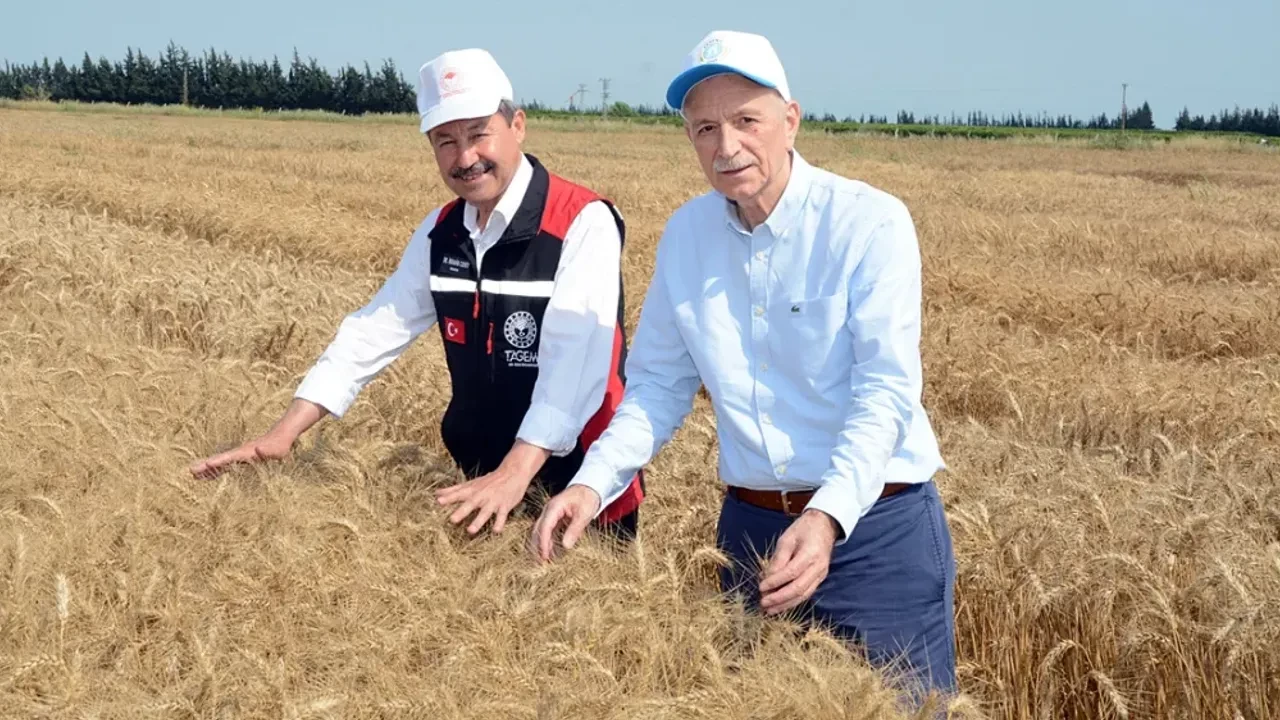 Bilgiç: Yerli tohum ve Ar-Ge; olmazsa olmazımızdır