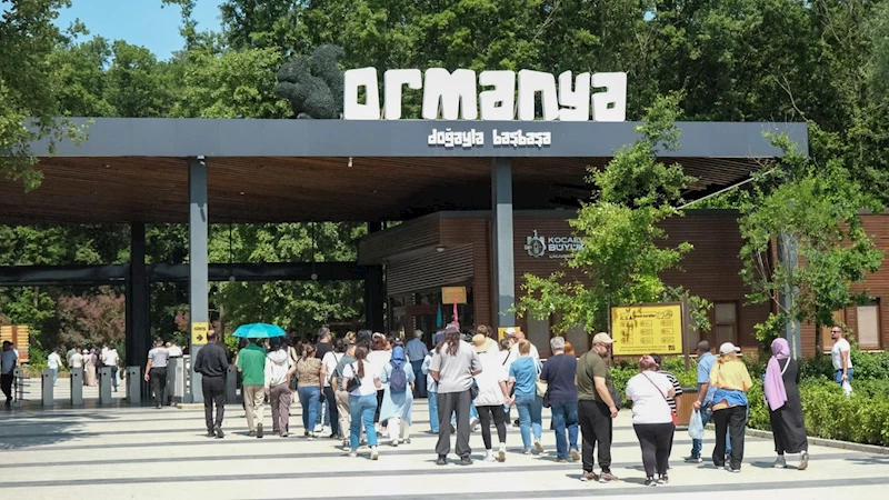 Doğaseverlerin bayram rotası: Ormanya ve Kuzuyayla