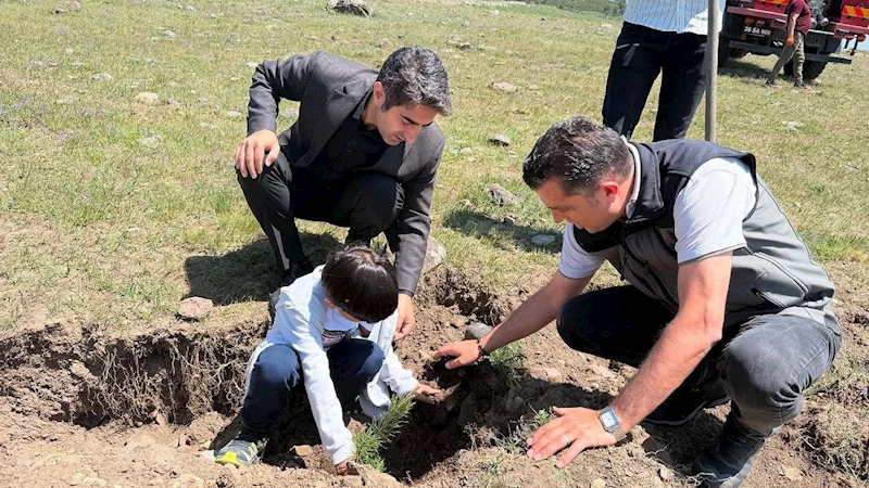 Sarıkamış’ta şehitler için dikilen fidanlar toprakla buluştu