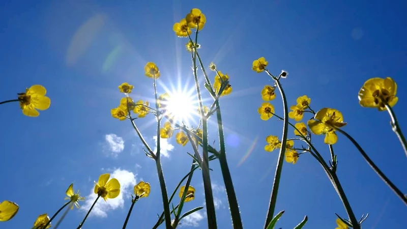 Hafta sonu serin geçecek: Sıcaklıklar mevsim normallerine düşüyor