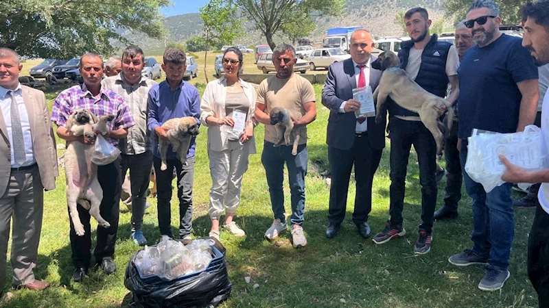 Isparta’da kurt sorununa çoban köpeği çözümü