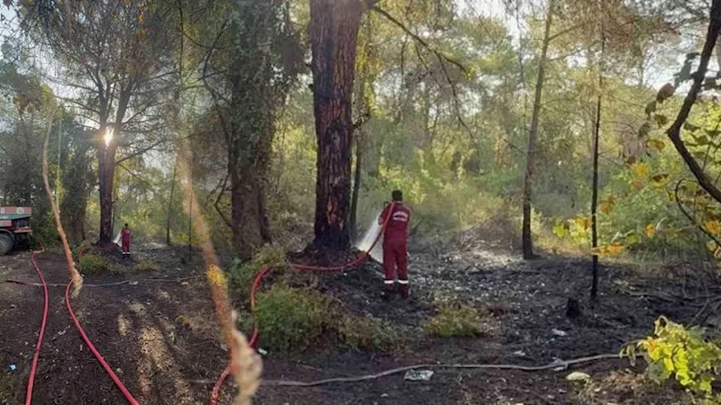 Serik’te korkutan yangın! Ormanlık alan zarar gördü