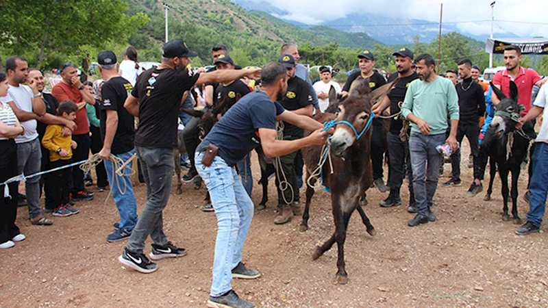 Kumluca Karacaören Şenliği:  Motokros heyecanı ve eşek yarışları renk kattı