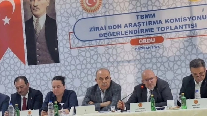 Zirai Don; Fındık 