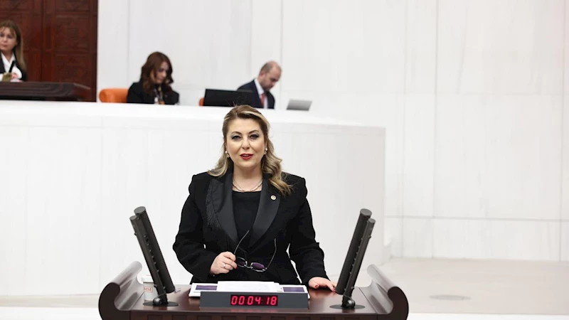 Elvan Işık Gezmiş: Kadın ölümleri neden araştırılmıyor?
