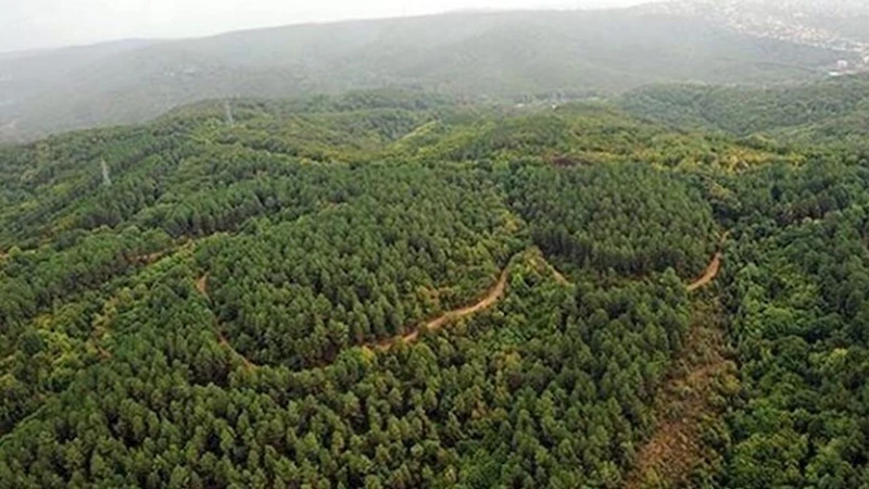 Şanlıurfa’da ormanlara girişler yüksek sıcaklık nedeniyle yasaklandı