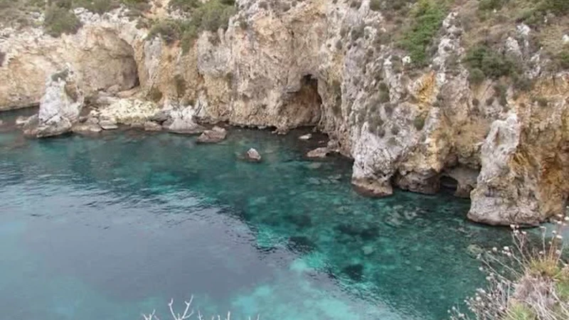 Kuşadası’nda nadir ziyaretçi: Akdeniz foku görüntülendi!