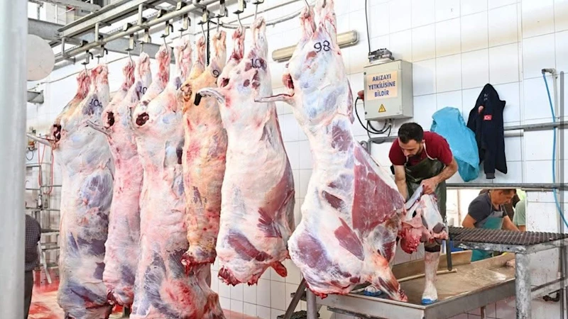Mezbahada 250 büyükbaş kurban kesimi gerçekleştirildi