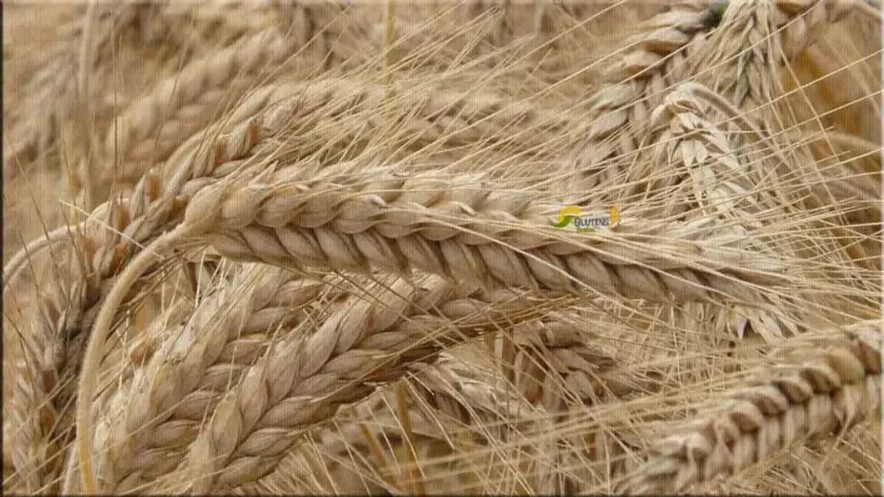 Türkiye
