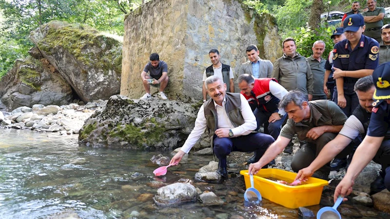 Artvin