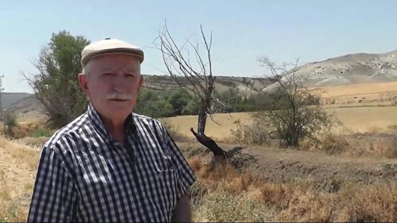 Sivrihisar’da 80 yıllık arazi davasında hasat krizi: Malımıza göz göre göre el konuldu