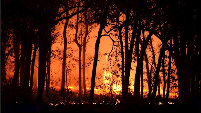 Çanakkale Ayvacık’ta orman yangını: 4 köy tahliye edildi