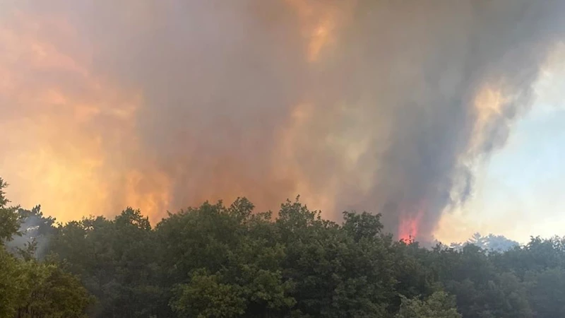 Çanakkale Ezine