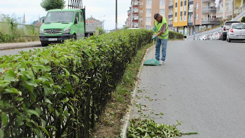 Giresun Belediyesi yeşili koruyor