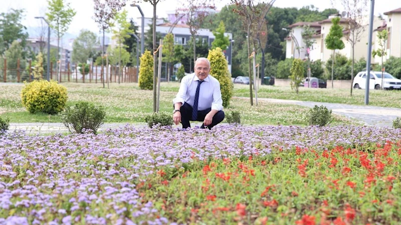 Durugöl