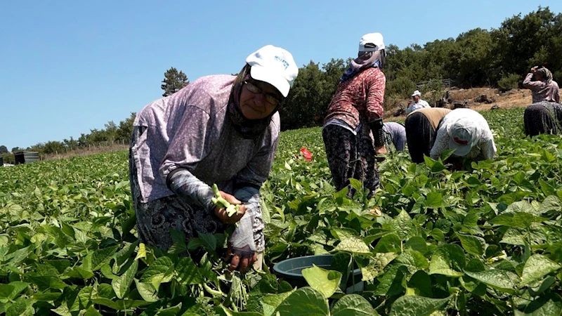 Balıkesir Büyükşehir