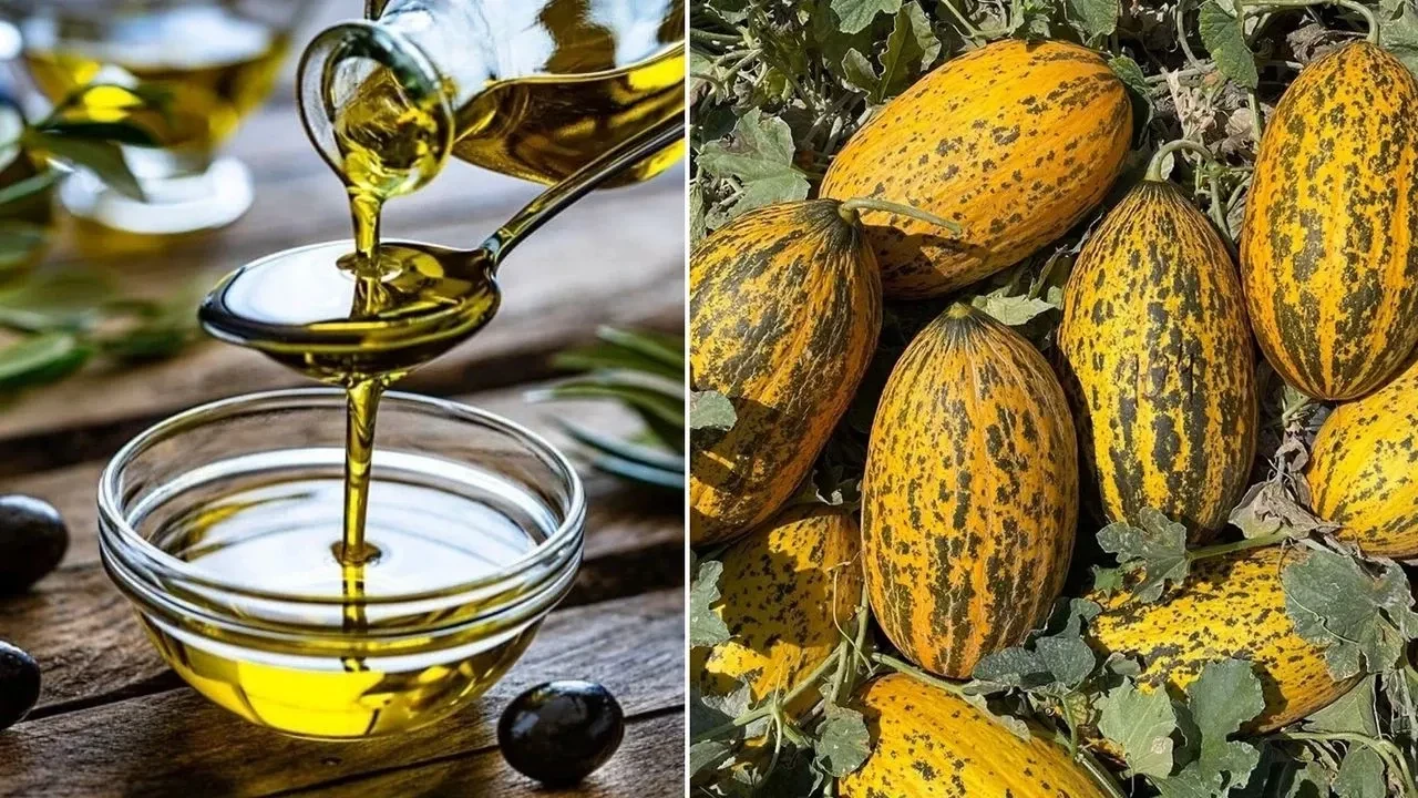 Anadolu’nun iki değeri daha AB’den tescil kazandı