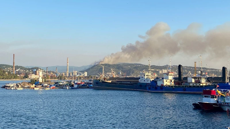 Karadeniz Ereğli