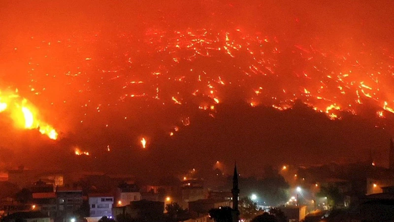 Bursa