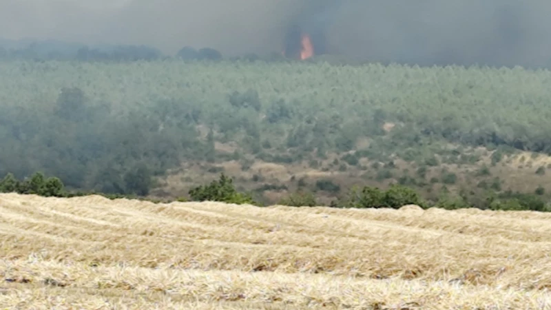 Silivri’de otluk alanda başlayan yangın ormana sıçradı