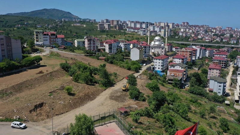 Ordu