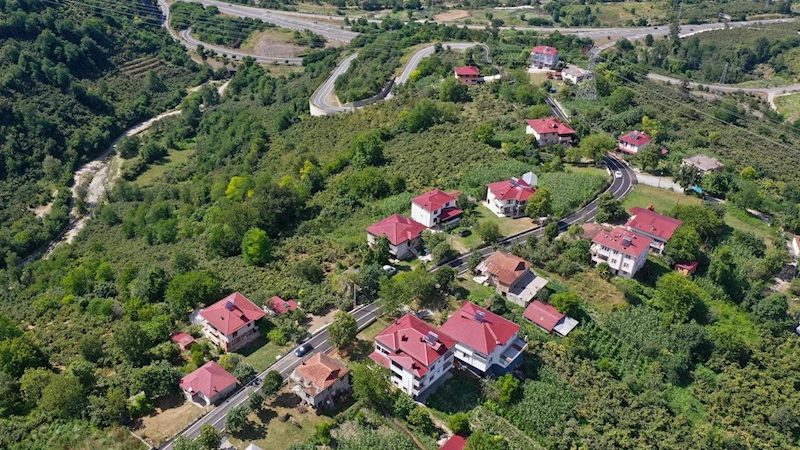 Ordu