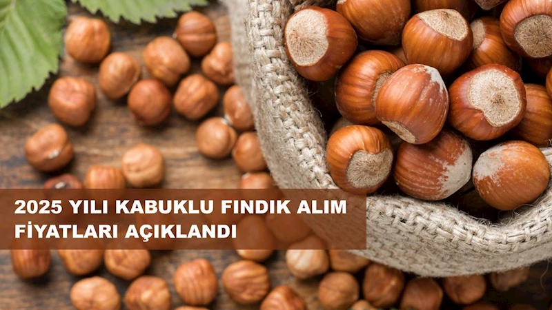 Fındık Taban Fiyatı Açıklandı; Fiyat 195 Lira...